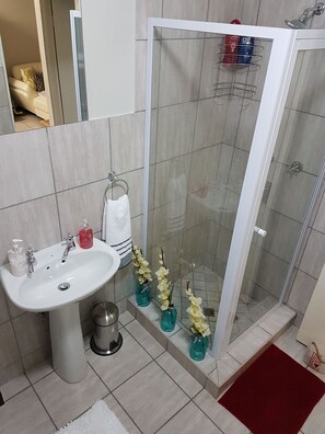 Hair dryer, towels, soap, shampoo