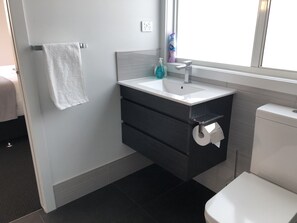 Eco-friendly toiletries, hair dryer, towels, soap