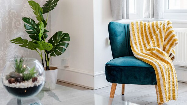 A teal armchair with a yellow striped throw blanket, a potted plant, and a glass-top coffee table with a decorative bowl.