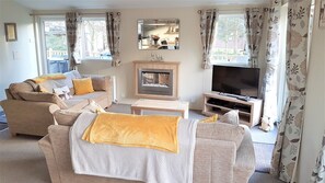 TV connectée, cheminée, lecteur de DVD