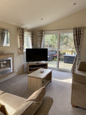 TV connectée, cheminée, lecteur de DVD