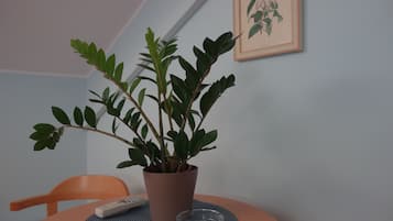 Kamar Double Superior (8) | 1 kamar tidur dan didekorasi berbeda-beda