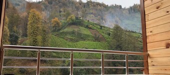 İrem Apart Restoran