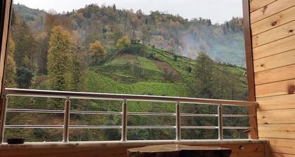 İrem Apart Restoran