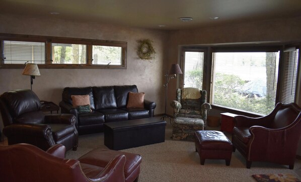 TV, fireplace, DVD player, video library