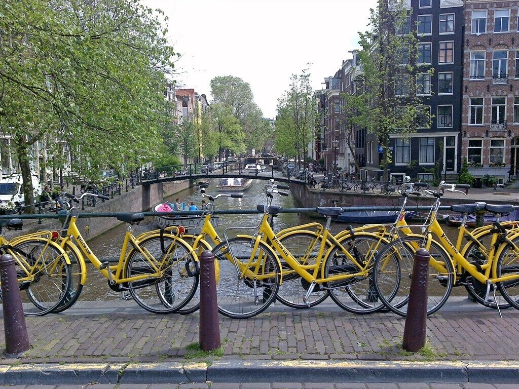 A canal with yellow bicycles parked along the side, surrounded by historic buildings and trees.