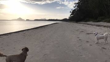 Vlak bij het strand, ligstoelen, strandlakens