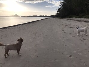 Una spiaggia nelle vicinanze, lettini da mare, teli da spiaggia