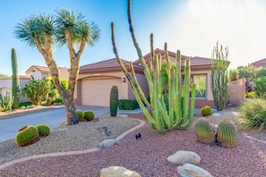 Zona residencial con una casa, cactus y una palmera.