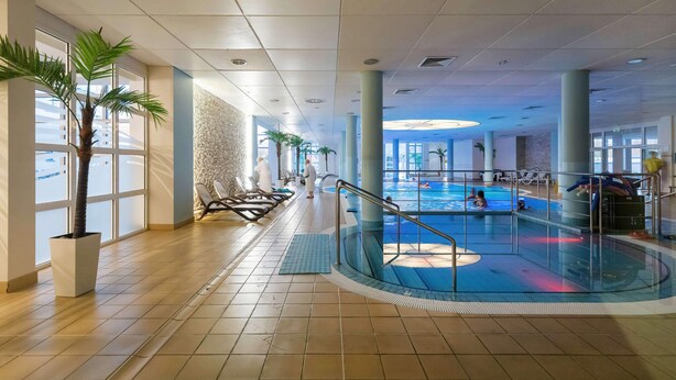 An indoor swimming pool with a glass barrier, palm trees, and sunlit interior.