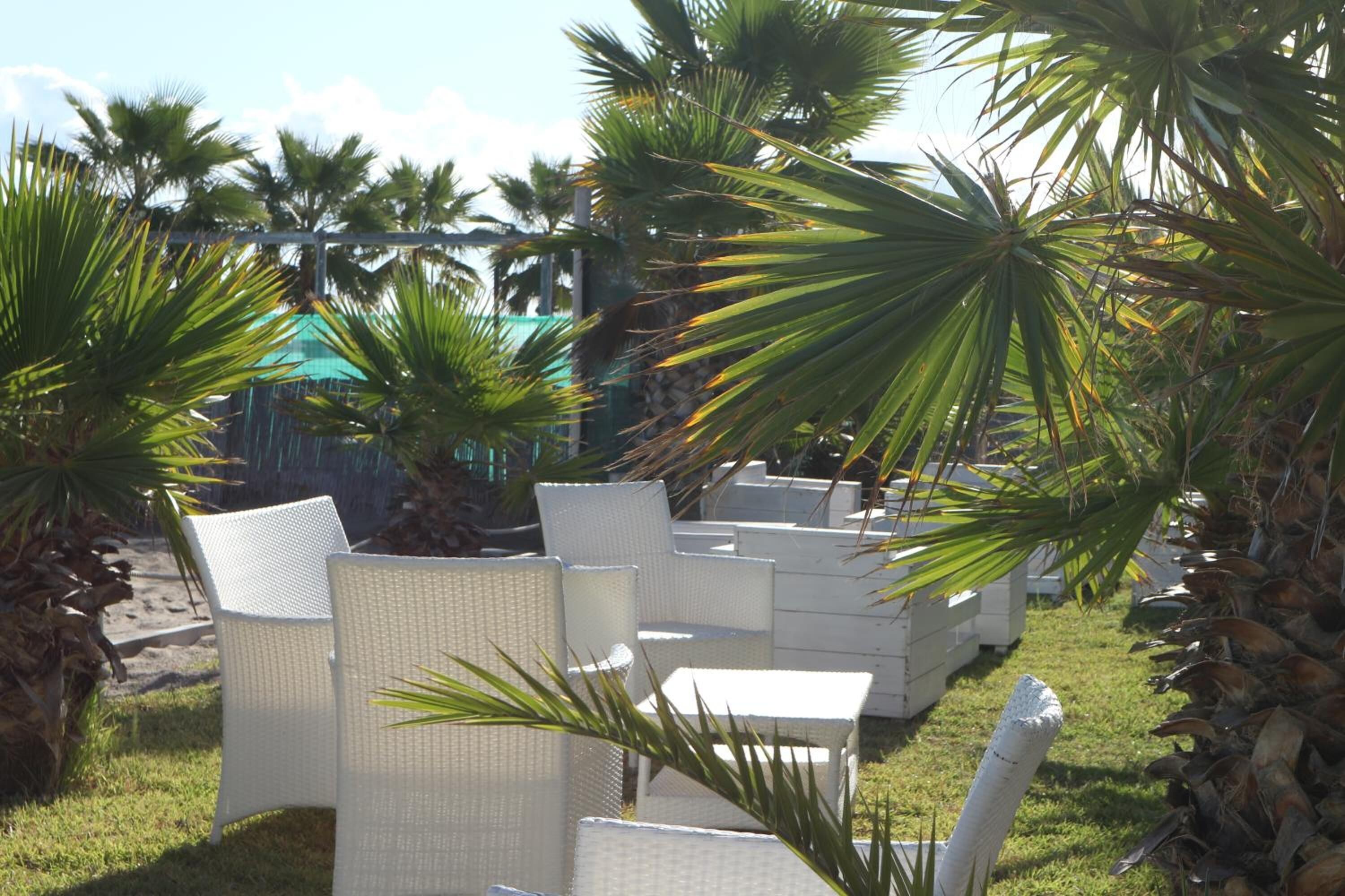 Outdoor wicker furniture arranged in a garden with palm trees.