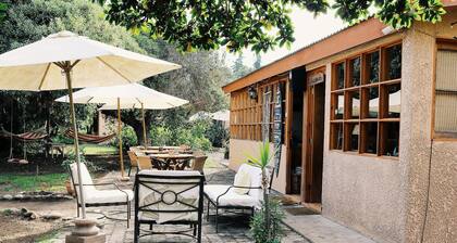 El Arbol Eco-Lodge - Hostel