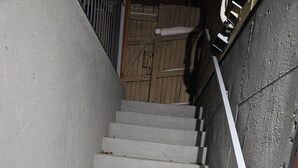 A concrete staircase with a metal handrail and a wooden door at the top. - Beautiful place for staying (Aurora)