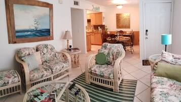 TV, DVD player, books, video library