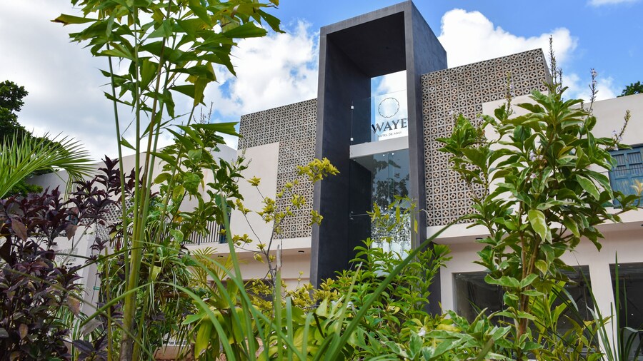 Waye Valladolid Centro – Sustainable, Authentic Experiences & Pet Friendly Boutique Hotel