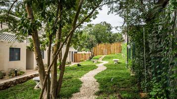 A garden pathway leading to a building with a modern design, surrounded by lush greenery and a bamboo fence.