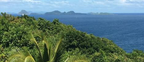 A tropical landscape with dense green foliage and a view of the ocean and distant islands.