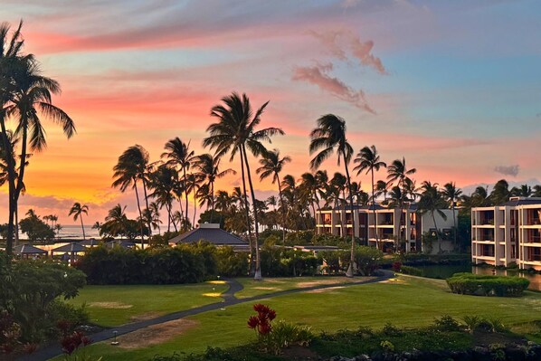 A resort with multiple buildings, palm trees, and a golf course.