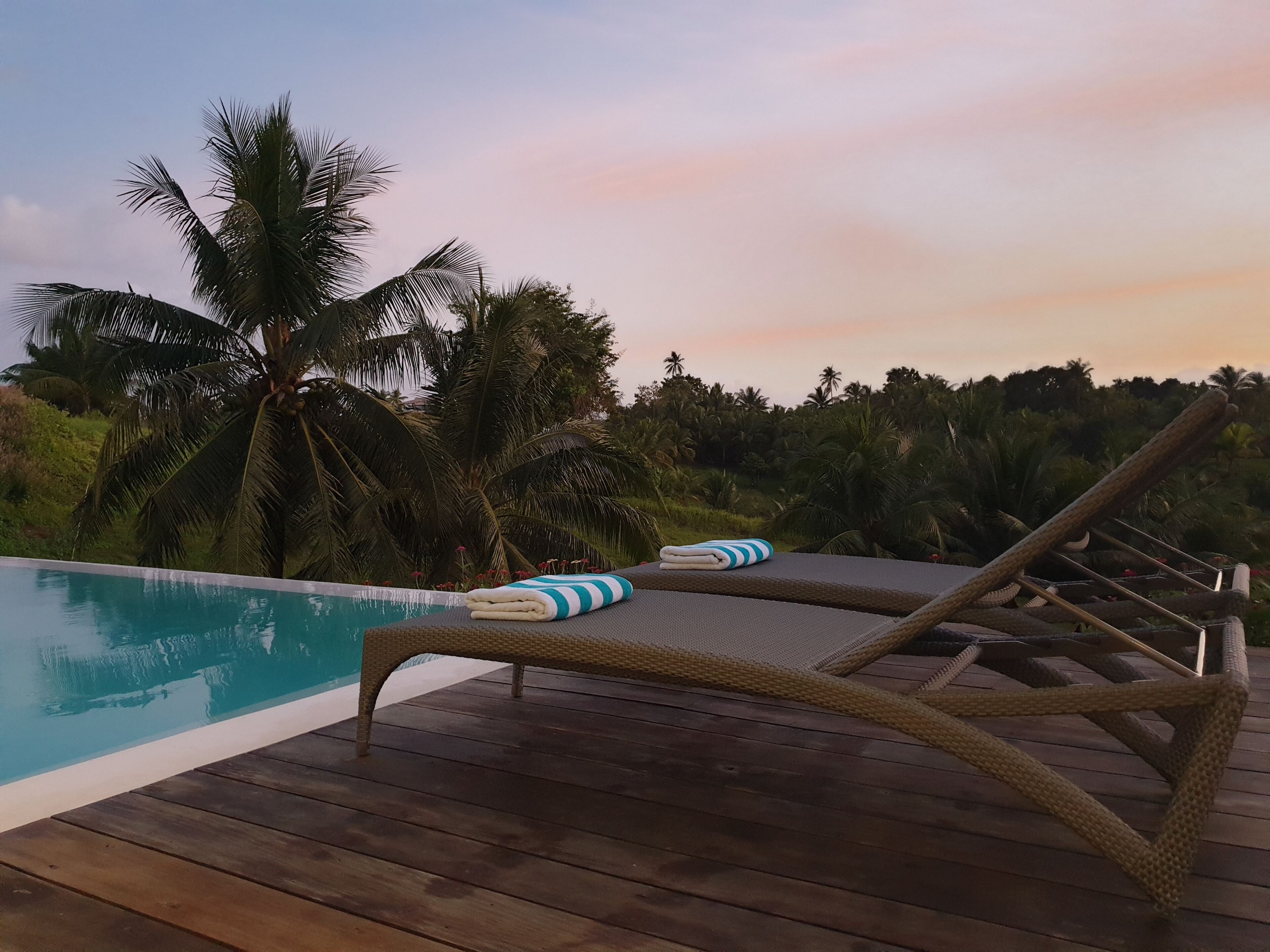 A wooden deck with a pool, lounge chairs, and palm trees.