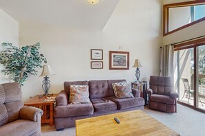 電視、壁爐、DVD 播放機