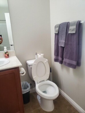 Haartrockner, Handtücher, Seife, Shampoo