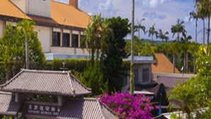 A traditional building with a tiled roof, surrounded by lush greenery and palm trees. - Hotel Bin (Okinawa)