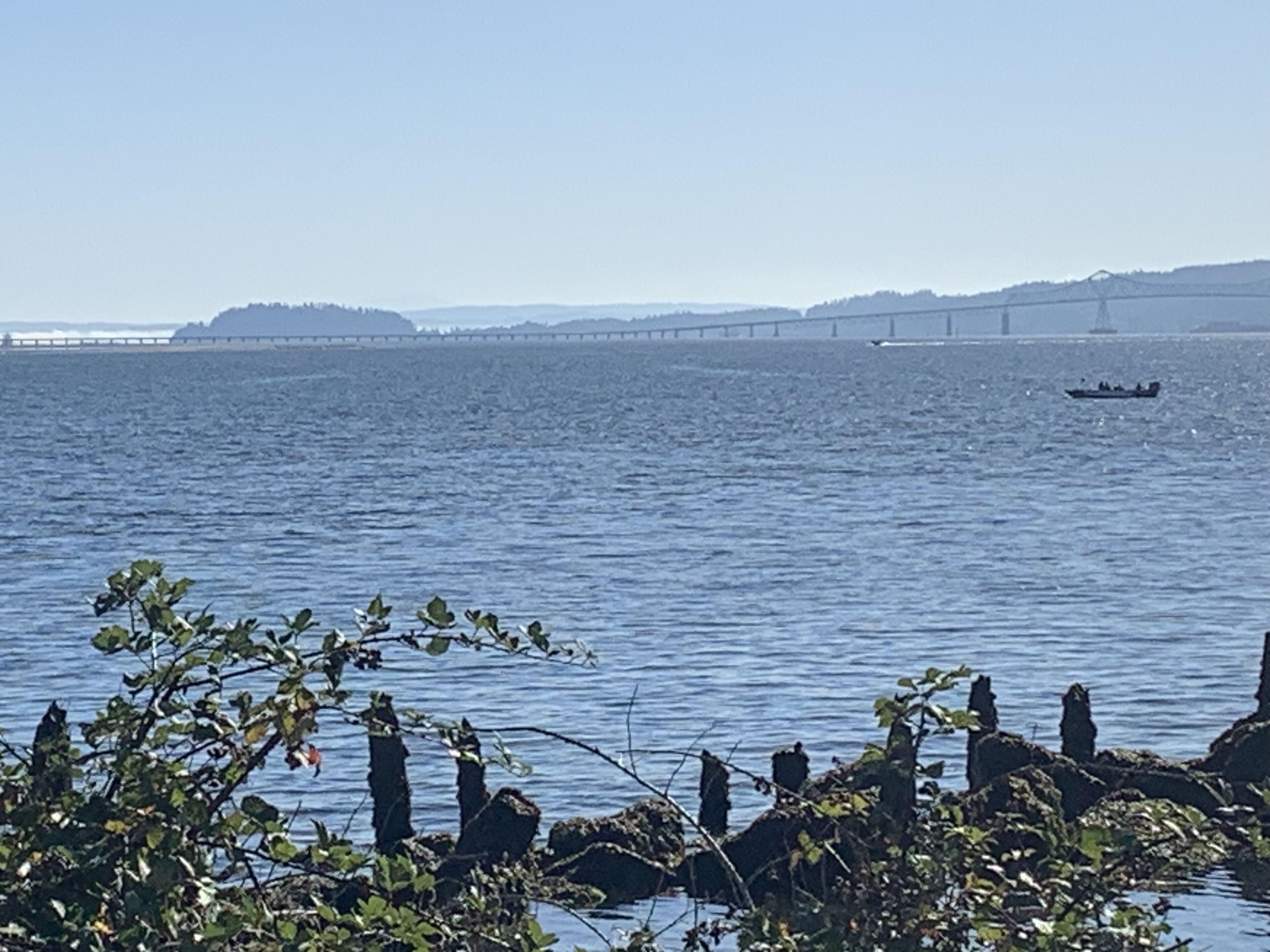 Ein Fluss mit einer Brücke im Hintergrund und einem Boot auf dem Wasser.