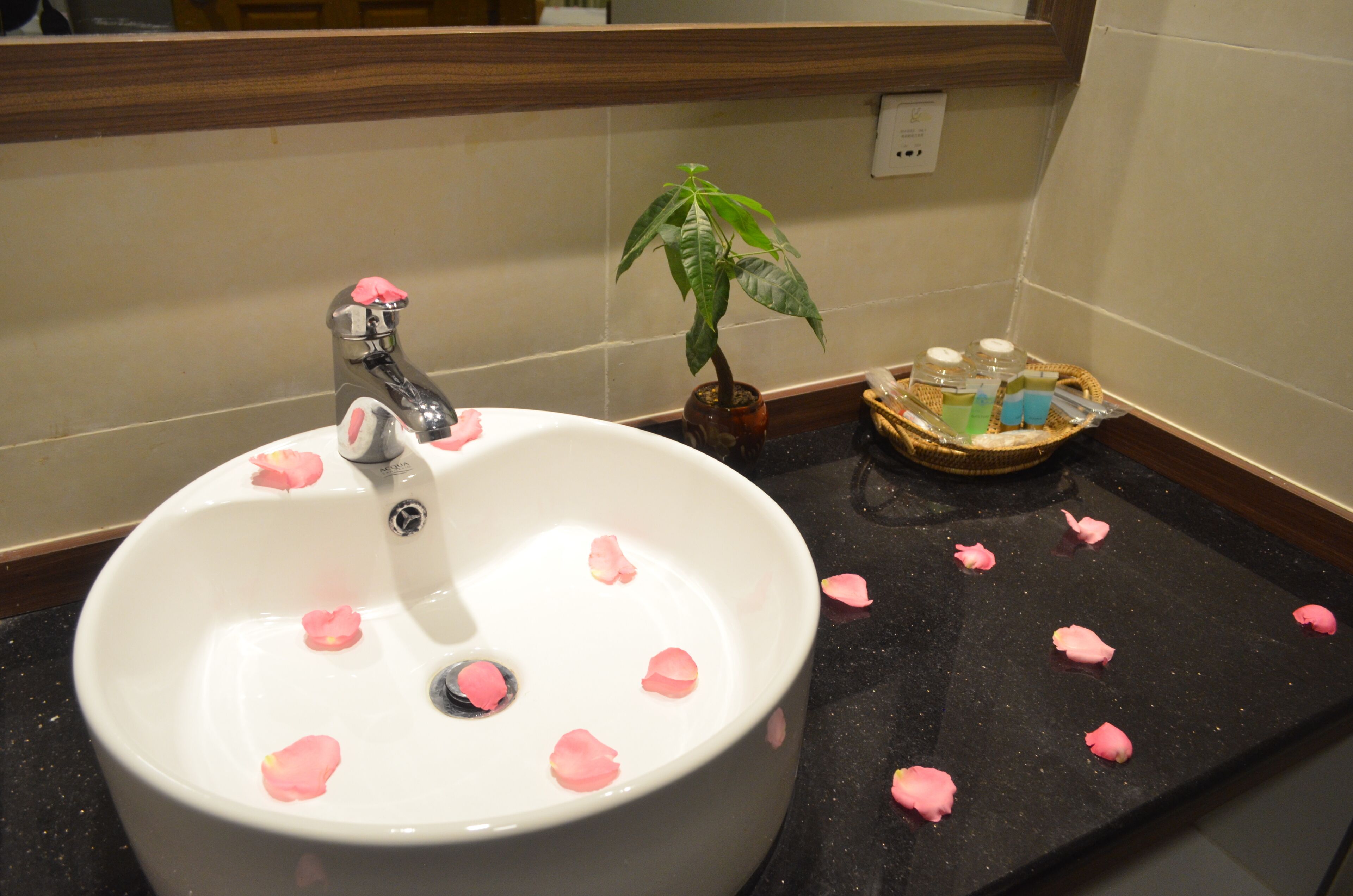 Bathroom sink