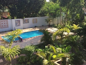 A swimming pool surrounded by lush greenery and a white wall with decorative tiles.