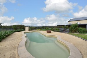 A swimming pool with a curved edge, surrounded by a concrete deck and a metal fence.