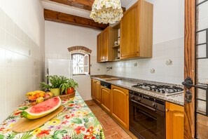 Fridge, oven, stovetop, dishwasher