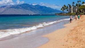 Une plage avec une montagne en arrière-plan, des palmiers et quelques bâtiments.