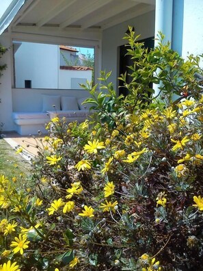 Jardín