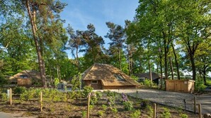 A modern, eco-friendly house surrounded by a garden with various plants and trees. - Sprielderbosch 17 Luxury holiday home Veluwe, located in the woods (Putten)