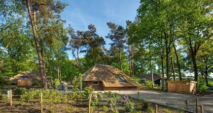 Sprielderbosch 17 Luxuriöses Ferienhaus Veluwen in waldreicher Umgebung