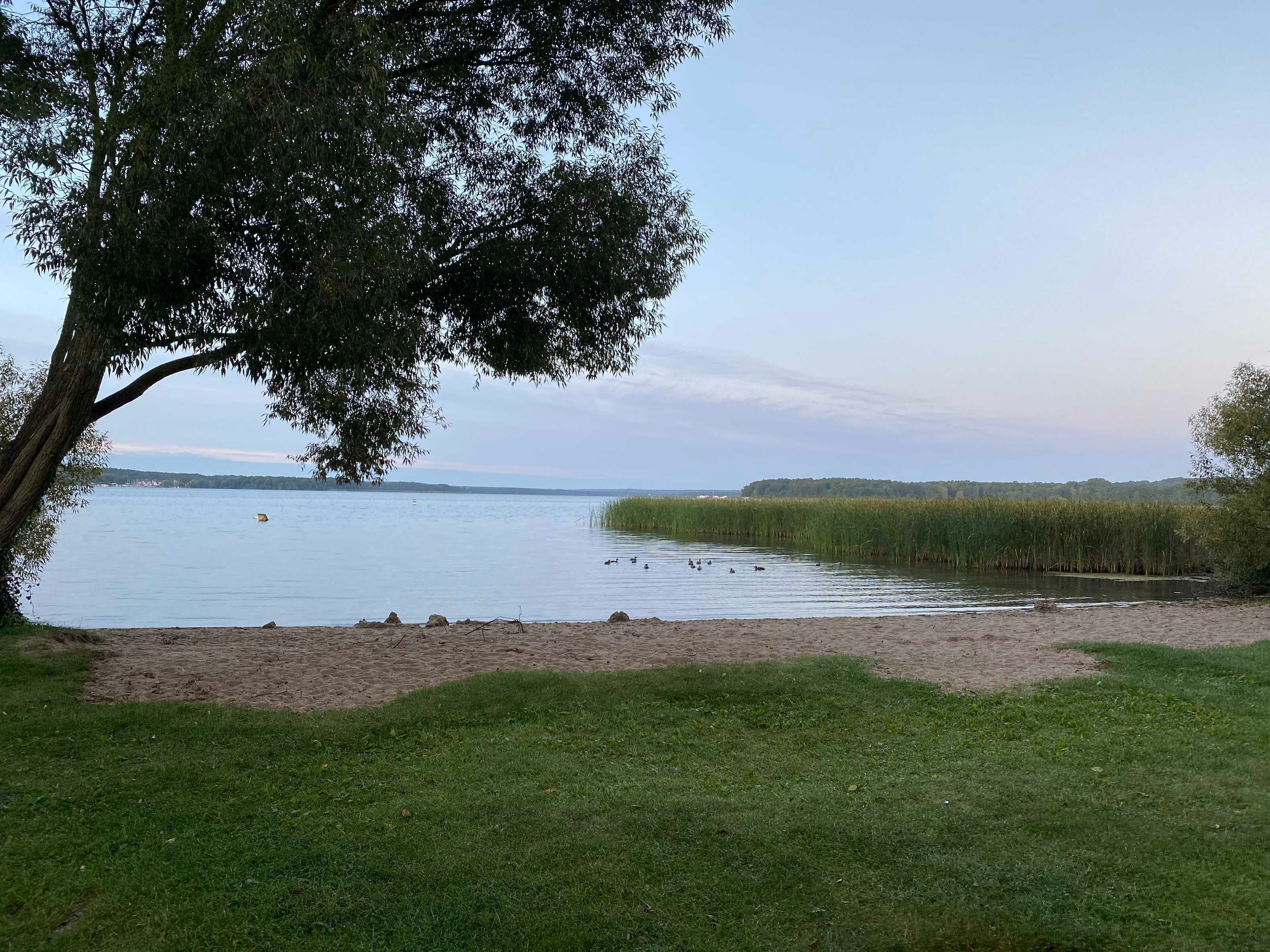 Tæt på stranden