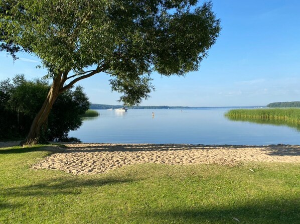 Imagen sin descripción, 1 de 51, botón