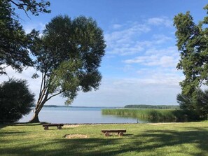 Imagen sin descripción, 3 de 51, botón