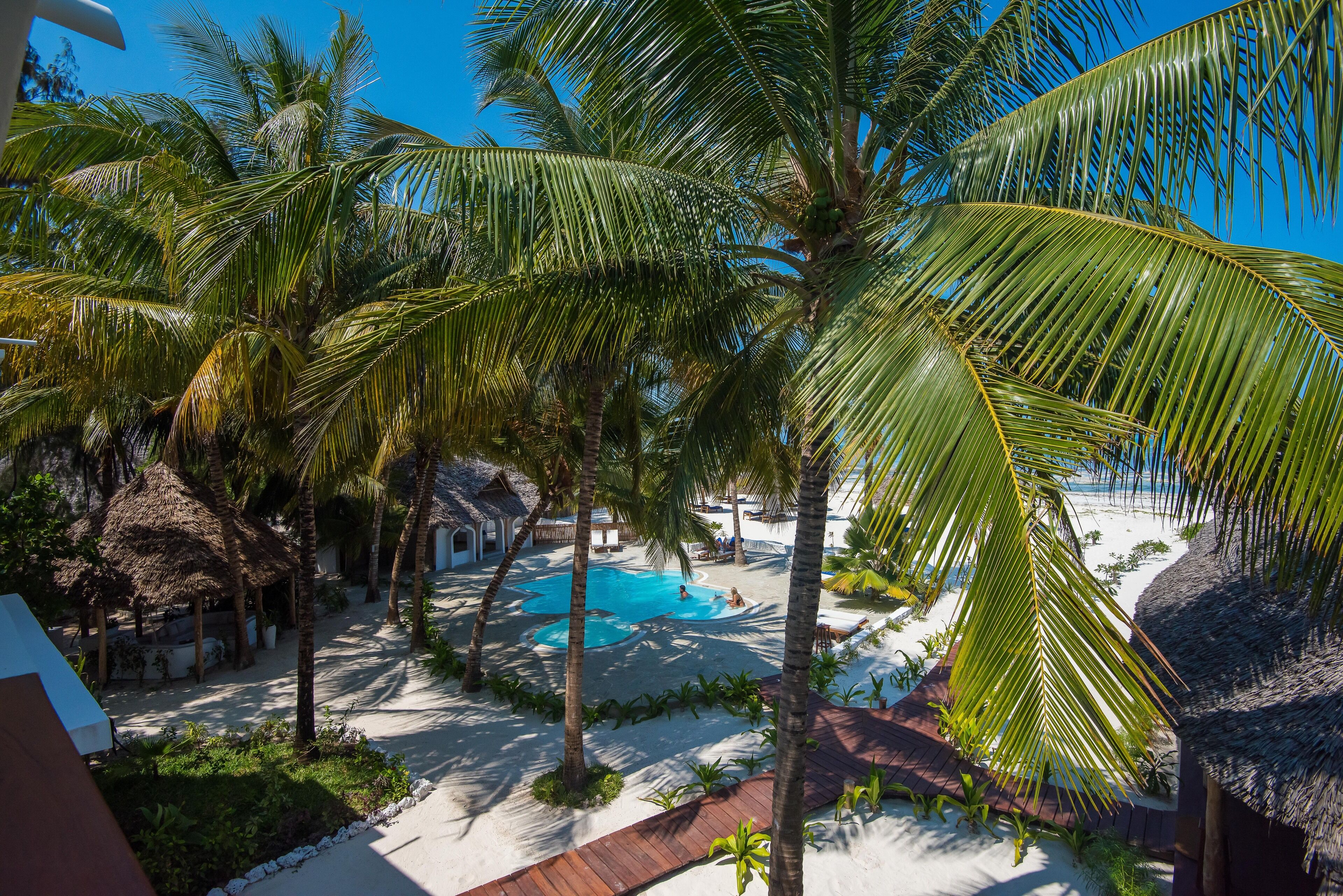 A tropical resort with a pool surrounded by palm trees and thatched-roof structures.