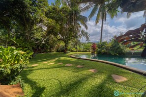 A lush garden with a pool, palm trees, and a variety of plants.