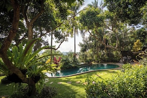 Une piscine entourée d’une végétation luxuriante et d’arbres.