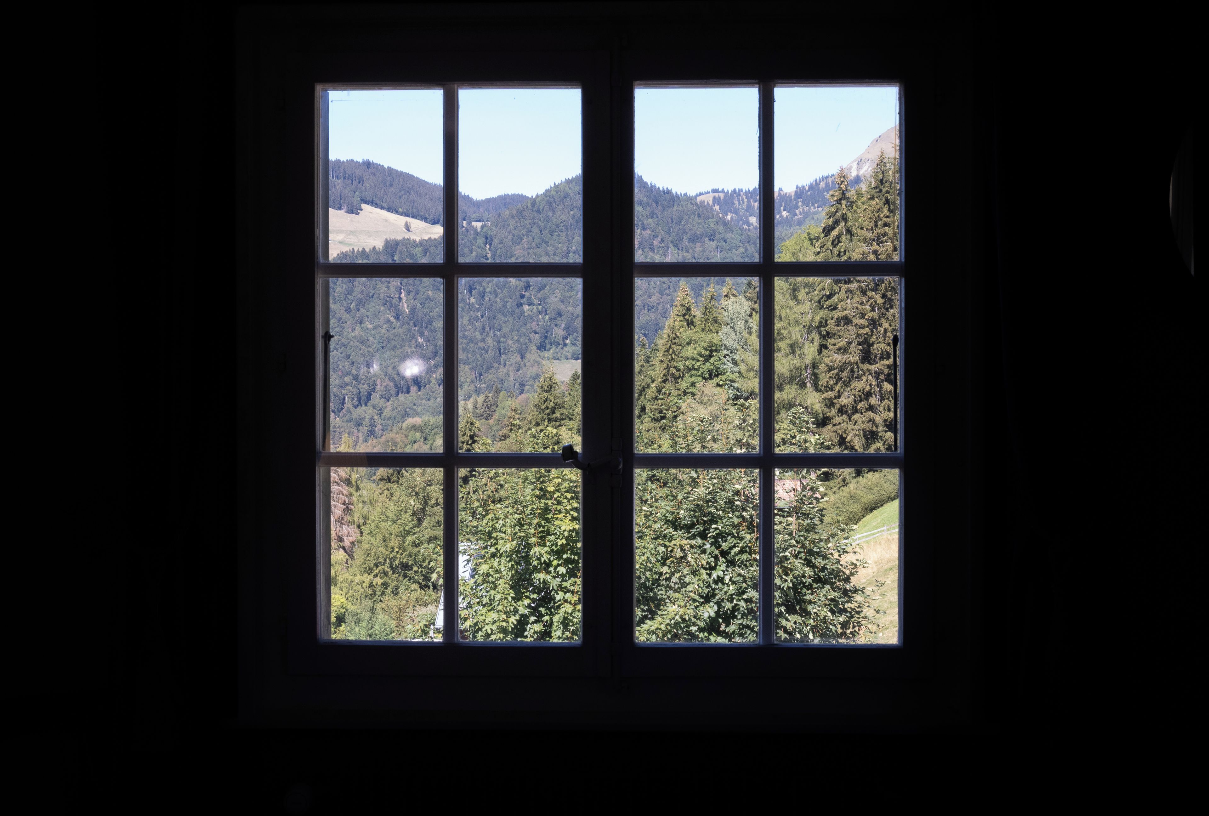 Una ventana con vista a una ladera boscosa.