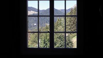Una ventana con vista a una ladera boscosa.