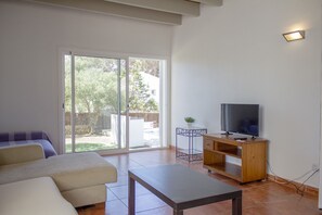 TV