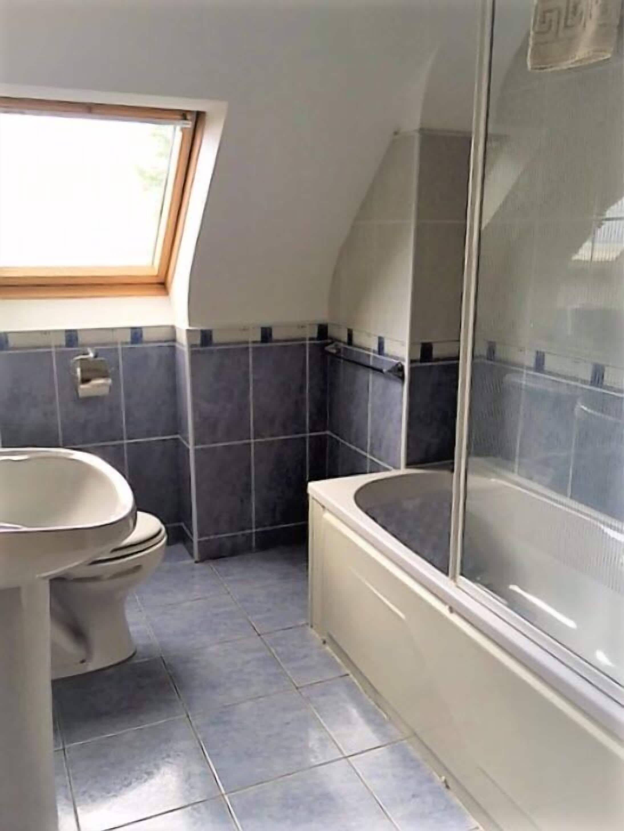 A bathroom with a skylight, a bathtub, and a toilet.