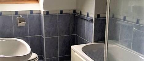 Une salle de bain avec un puits de lumière, une baignoire et des toilettes.