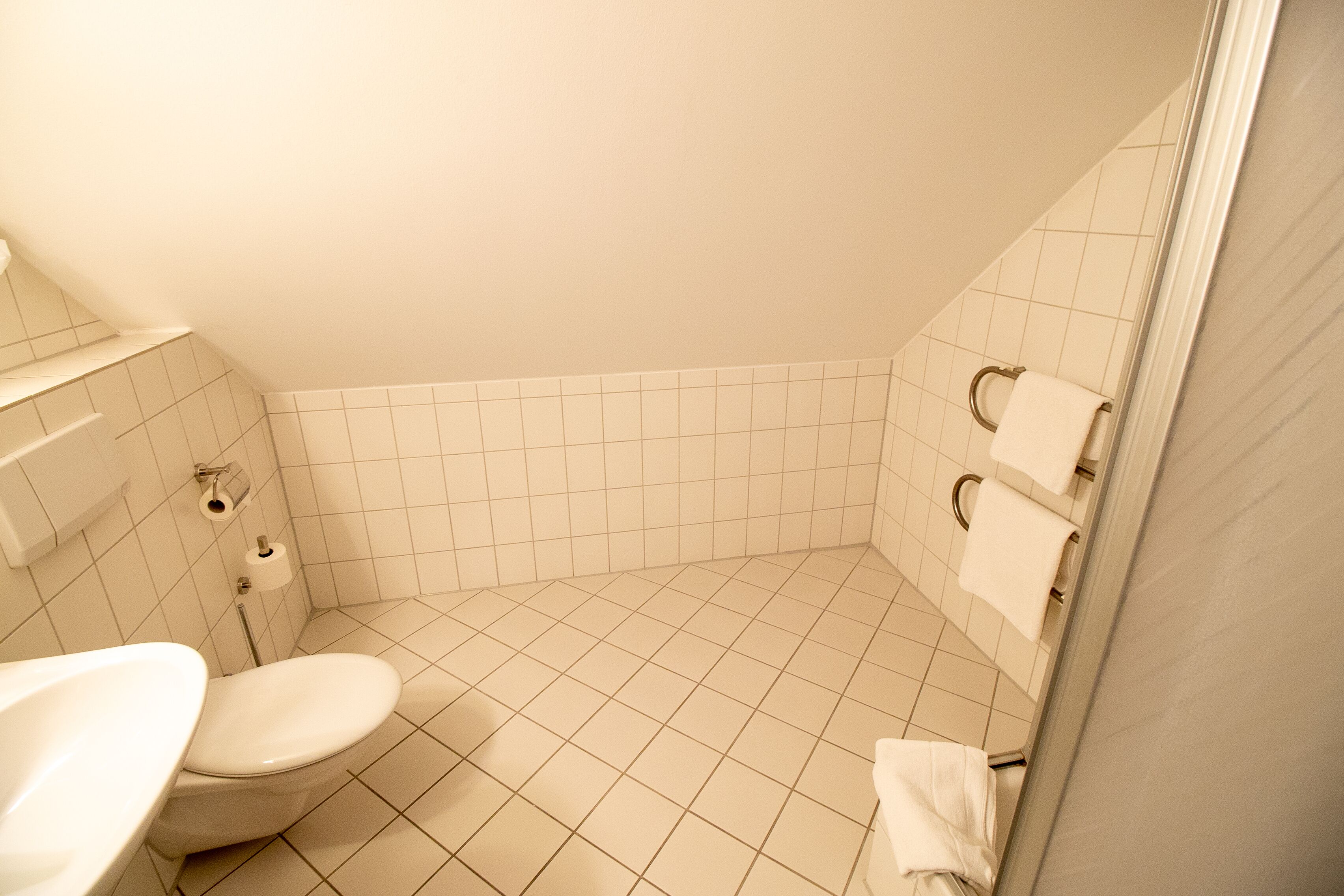 Un baño con inodoro, lavabo y zona de ducha.
