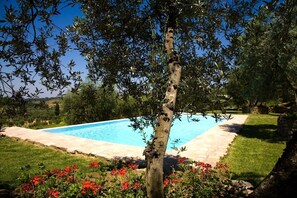 Une piscine entourée d’une terrasse en pierre, avec un arbre au premier plan et une zone herbeuse parsemée de fleurs rouges.