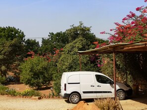 Property grounds - Studio 3 - Fully-equipped double room in Guesthouse (Ngaparou)