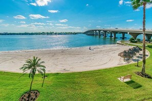 Una playa con un puente al fondo, una palmera y un banco.